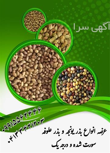 آگهی های بذر و نهال - پاتاوه