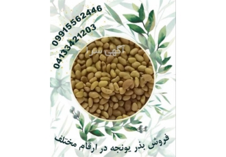 بذر یونجه سورت شده ، بذر یونجه قره یونجه