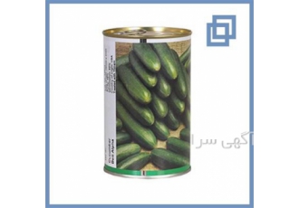 فروش بذر خیار ویکیما دانمارک بذر خیار درجه یک در اصفهان ویژگی های بذر