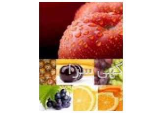 فروش انواع اسانس طعم دهنده لبنی عصاره گیاهی تامین کننده انواع اسانس