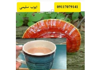 قهوه گانودرما فروش قهوه سوپریم گانودر ماموکا در ارومیه فروش قهوه