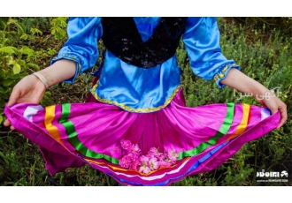 خرید عمده غنچه گل محمدی صادراتی
