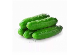 فروش بذر خیار سینا دارای آفت کمتر