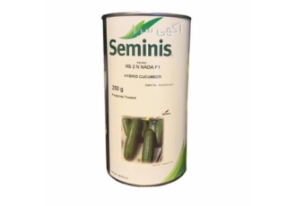 بذر خیار seminis ، بذر خیار 2n