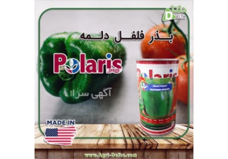 فروش بذر فلفل دلمه پلاریس