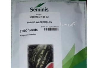 بذر هندوانه b۳۲ با قیمت مناسب در اندیمشک پوست ضخیم گوشت میوه سفت
