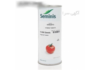 فروش بذر گوجه فرنگی تی دی