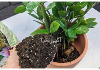 فروش خاک گلدان به صورت بسته بندی در تهران فروش خاک گلدان به صورت بسته