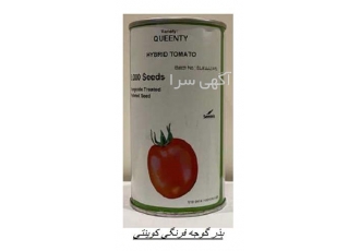 فروش بذر گوجه فرنگی کوینتی ، بذر گوجه فرنگی سمینیس