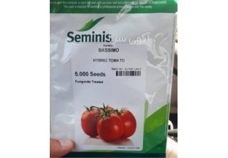 بذر گوجه فرنگی باسیمو