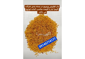 فروش شبدر برسیم قیمت شبدر برسیم خرید شبدر برسیم در تنکابن فروش ویژه