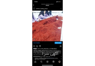 کشت و پرورش زعفران ممتاز درجه 1