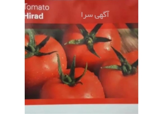 بذر گوجه هیراد در یزد بذر گوجه هیراد این رقم بذر گوجه فرنگی دارای میوه