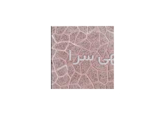 موزائیک