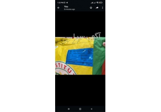 قیمت فروش بذر ذرت علوفه ای والبوم در کرج قیمت بذر ذرت علوفه ای والبوم