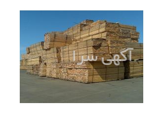 فروش تخته نراد روسی یولکا و ساسنا