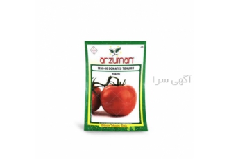 فروش بذر گوجه فرنگی بیف ترک آرزومان