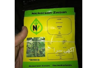 بذر خیار شهاب ، بذر خیار گلخانه ای شهاب