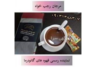 نمایندگی پخش قهوه گانودرما و قارچ گانودرما