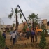 فروش درخت چند ساله فروش انواع گل و گیاه در تهران فروش گل و گیاه زینتی
