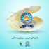 نمایندگی بیمه ایران در بروجرد بیمه ایران نمایندگی شمسه کد نمایندگی