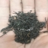 فروش چای ایرانی پخش چای ایرانی در لاهیجان فروش چای ایرانی پخش چای
