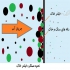بام سبز زهکش سه بعدی فیلتر خاک در تهران زیر سازی تخصصی روف گاردن