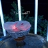 پخش ژل آتش زا و ذغال چوب در دماوند تولید عمده الکل صنعتی و ژل آتش زا