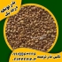 عرضه بذر یونجه و بذر علوفه به سراسر کشور در زرین آباد بذر یونجه و بذر