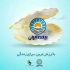 بیمه ایران در بروجرد نمایندگی شمسه بیمه ایران در بروجرد نمایندگی شمسه