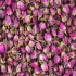خرید عمده غنچه گل محمدی در آستانه اشرفیه اکسیر راه ابریشم قمصر کاشان