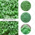 اجرای روف گاردن اجرای بام سبز در مشهد شرکت آرین پاژ طراحی و اجرای بام