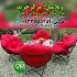 سرویس نشیمن الماس در فریدونکنار رنگ کوره ای استاتیک #128175 جنس ریختگی