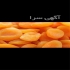 عرضه نهال زردالو ( آلو ارمنستانی) پیوندی گلدانی در ساری عرضه نهال