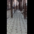 اجرای خدمات کاشت میلگرد کاشت آرماتور کاشت بولت در فردیس اجرای کلیه