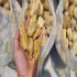 قلوه سنگ برای روف گاردن سنگ رودخانه برای روف گاردن در زاهدان سلام انواع