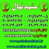 فروش نهال زردآلو لاسگردی در مشهد فروش نهال میوه زردآلو لاسگردی زردالو