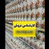 نمایندگی فروش قهوه گانودرما فروش سیر سیاه در بجنورد نمایندگی رسمی