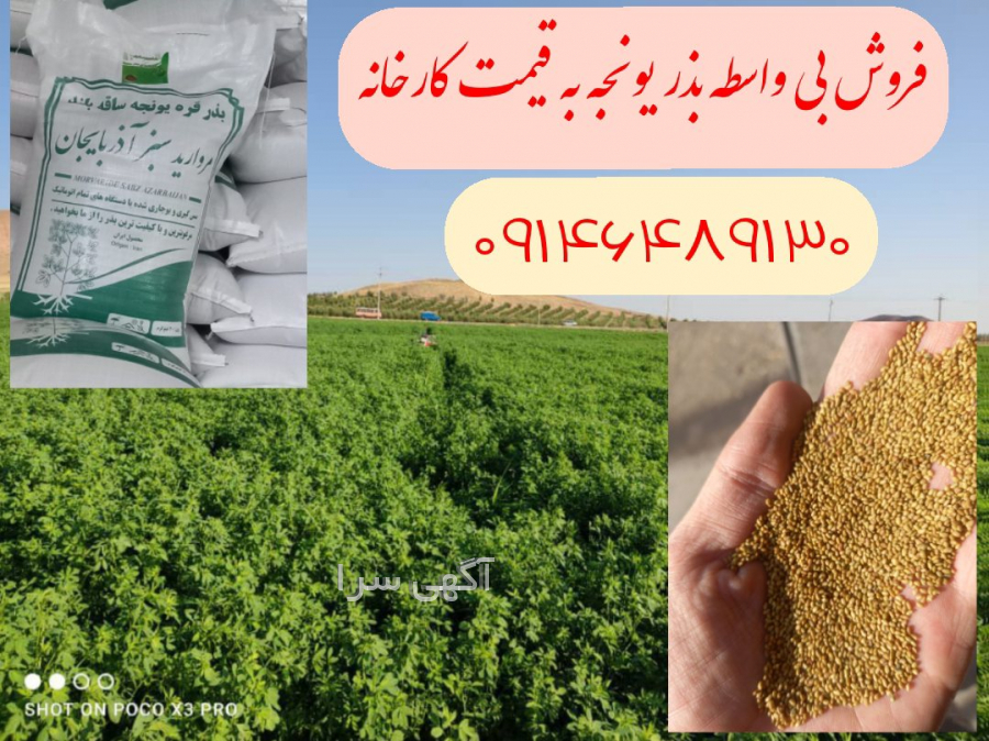 آگهی های بذر و نهال - مریوان
