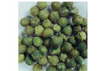 خرید و فروش مازو سبز و سفید در شیراز خرید و فروش مازوی سبز و سفید خرید