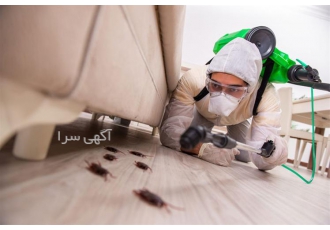 سمپاشی منزل و مراکز اداری توسط تیم حرفه ای در شهریار سمپاشی منزل