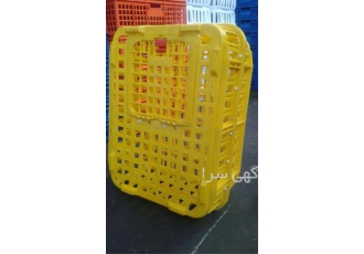 قیمت قفس حمل مرغ زنده در مشهد تولید قفس حمل مرغ زنده و جعبه و سبد حمل