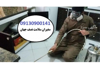 موریانه زدایی سمپاشی موریانه در اصفهان سمپاشی موریانه منزل سمپاشی