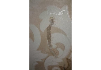 سمپاشی موریانه با سموم موثر تحت نظارت بهداشت