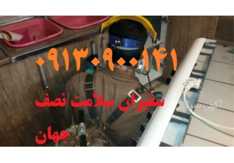 سمپاشی تضمینی موریانه زدایی تخصصی