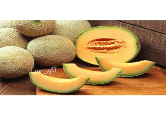 خرید اسانس مایع طالبی صنایع غذایی برند آلمانی در آمل کاربرد اسانس مایع