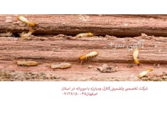سمپاشی تضمینی منزل و محل کار