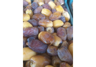 فروش عمده رطب کبکاب درجه یک