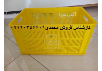 فروش سبد 20 کیلویی انگور و کشمش