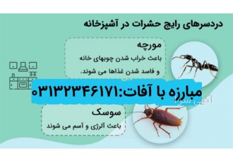 سمپاشی هتل ها ، سمپاشی رستوران و فست فود